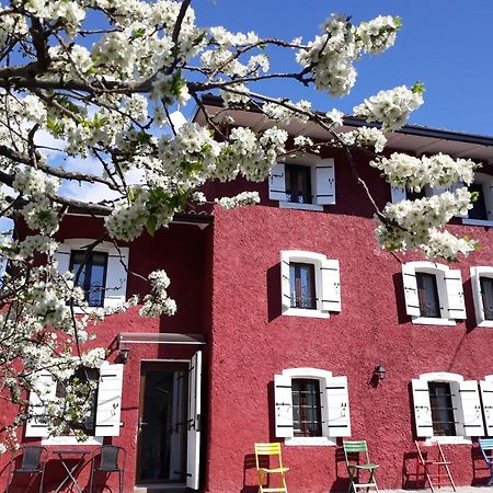 Casa Zuel Guesthouse Rolle Eksteriør billede